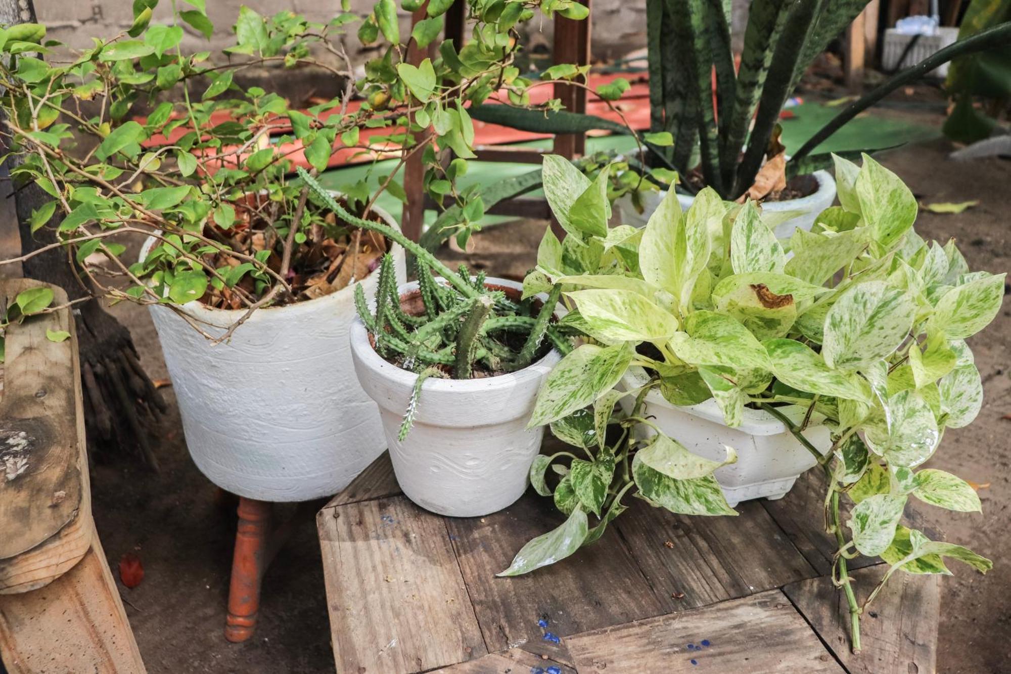 Nahimara Champeta * Cartagena